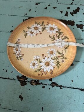 Vintage 1970s melamine  6 dinner plates produced by Lexington Daisy  Pattern USA